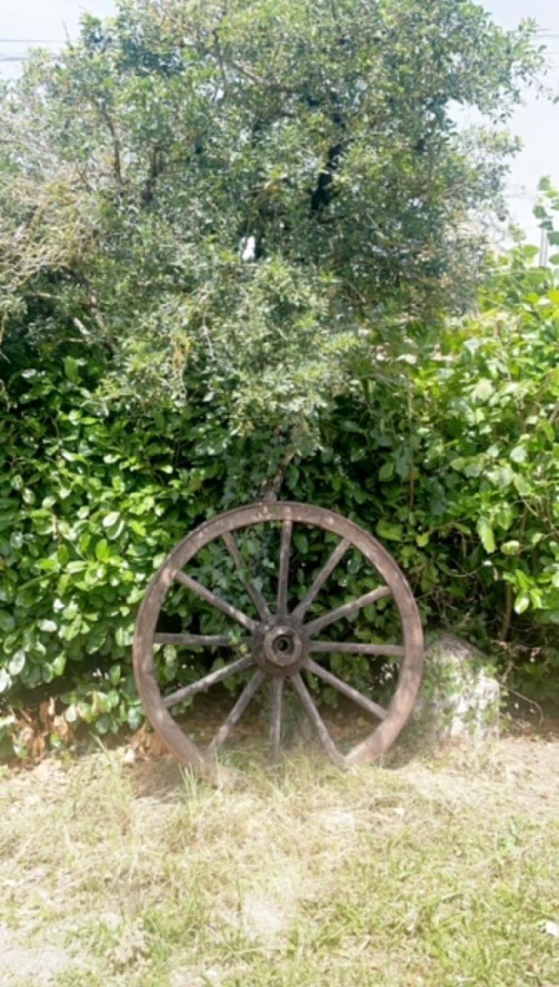 La Grange Du Contoures Bed and Breakfast Castanet  Εξωτερικό φωτογραφία